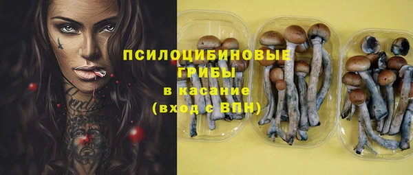 мескалин Баксан
