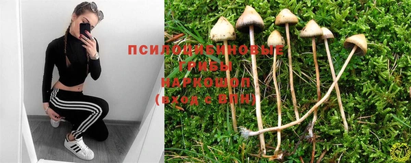 мескалин Баксан