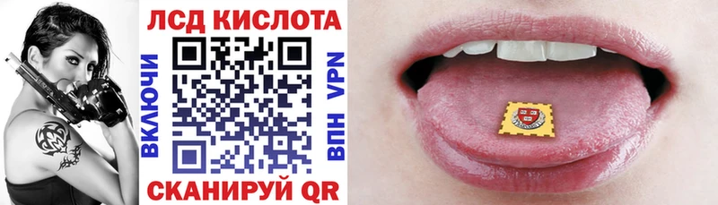 дарк нет состав  Сегежа  Марки NBOMe 1,8мг 