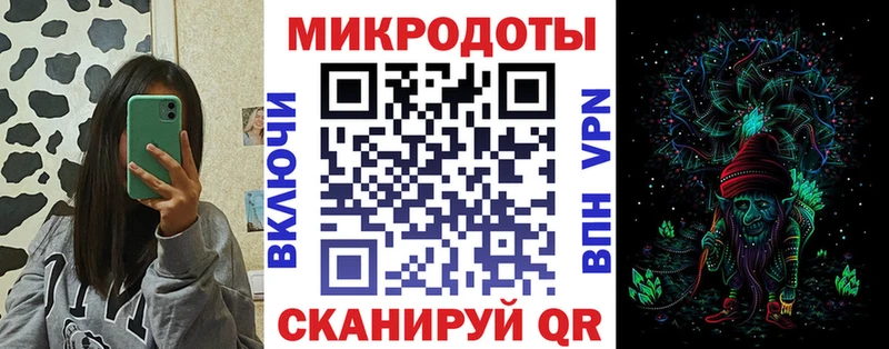 Псилоцибиновые грибы Psilocybe  Сегежа 