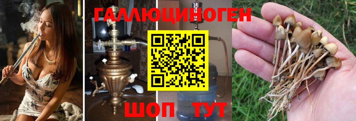 Галлюциногенные грибы MAGIC MUSHROOMS Сегежа