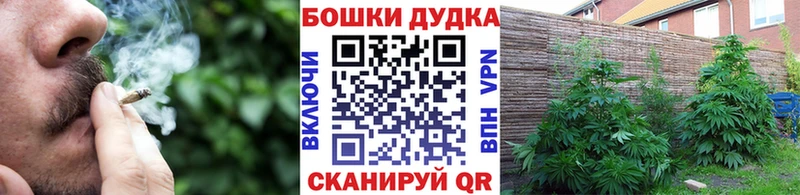 ссылка на мегу ссылки  Сегежа  Каннабис семена 