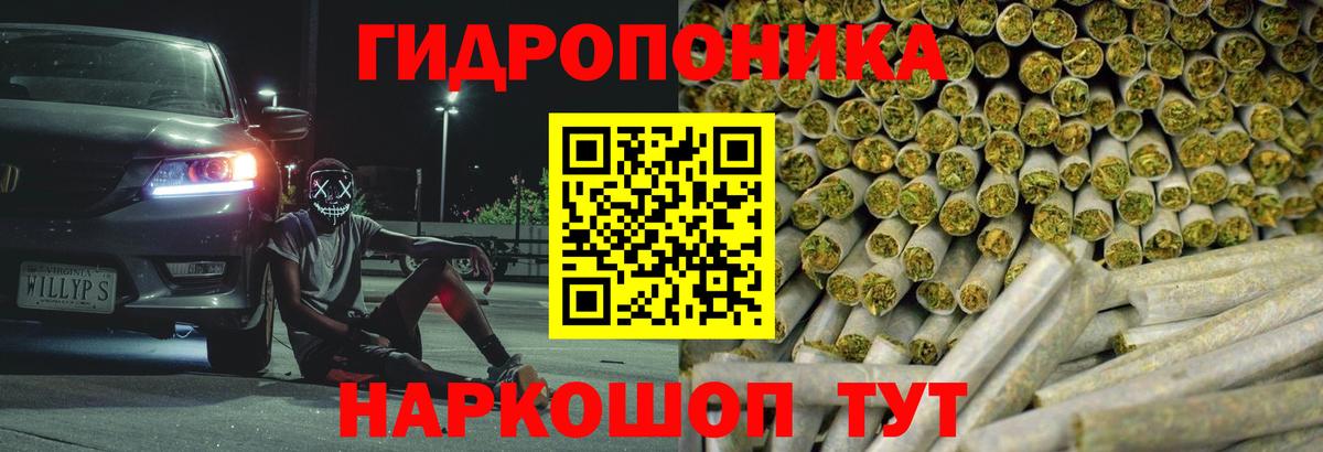 Конопля марихуана  Бошки марихуана тримм  Сегежа  Вход с VPN  Канабис AK-47 